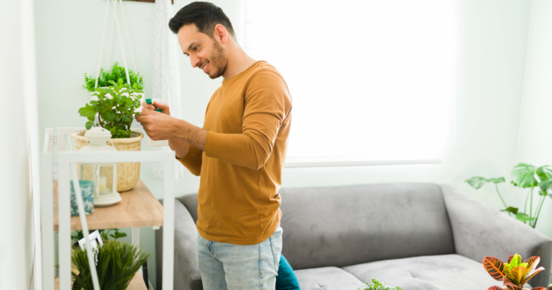 What to Know About Plants and Your Health